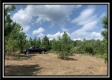 More of 66433 Old Shurtz Rd
