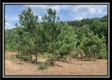 66433 Old Shurtz Rd property photo