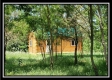 More of Wild Woods Cabin