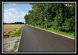 More of Tract 6 - Bennington Pastures