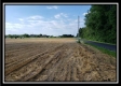 More of Tract 6 - Bennington Pastures