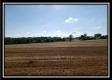 More of Tract 6 - Bennington Pastures