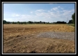 More of Tract 6 - Bennington Pastures