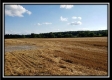 Tract 6 - Bennington Pastures property photo
