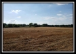 More of Tract 7 - Bennington Pastures