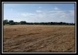 More of Tract 7 - Bennington Pastures