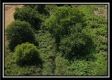 More of Tract 7 - Bennington Pastures