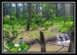 More of Pines at Mainesville Retreat