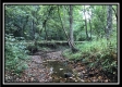 More of Hunter's Haven