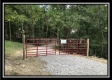 More of Tract 12 at The Woods at Wheelabout Creek