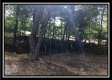 More of Tract 12 at The Woods at Wheelabout Creek
