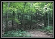 The Woods at Wheelabout Creek - Tract 14 property photo