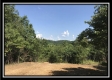 More of Tract 6 - The Woods at Wheelabout Creek