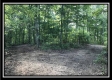 More of Tract 6 - The Woods at Wheelabout Creek