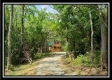 More of State Park Cabin