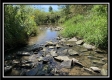 More of Tract 13 - Rankin Meadows