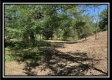 More of Tract 13 - Rankin Meadows