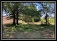 More of Tract 13 - Rankin Meadows