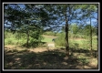 Tract 13 - Rankin Meadows property photo