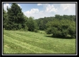 More of Orpheus Ridge Farm