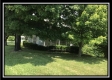 More of Orpheus Ridge Farm