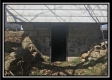 More of Orpheus Ridge Farm