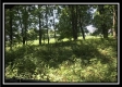 Orpheus Ridge Farm property photo