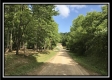 More of Getaway Cabin  - Tract 13 at Wheelabout Creek