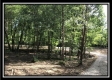 More of Getaway Cabin  - Tract 13 at Wheelabout Creek