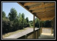 Getaway Cabin  - Tract 13 at Wheelabout Creek property photo