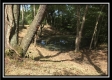 More of Tract 5 at The Woods at Wheelabout Creek