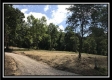 More of Tract 5 at The Woods at Wheelabout Creek