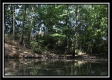 Tract 5 at The Woods at Wheelabout Creek property photo