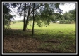 More of Tract 16 - The Woods at Wheelabout Creek