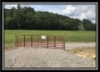 More of Tract 16 - The Woods at Wheelabout Creek