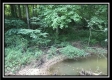 More of Tract 16 - The Woods at Wheelabout Creek