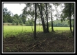 Tract 16 - The Woods at Wheelabout Creek property photo