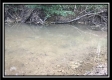 Tract 16 - The Woods at Wheelabout Creek property photo