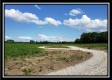 More of Tract 1 - Bennington Pastures
