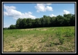 More of Tract 1 - Bennington Pastures