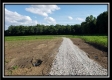 More of Tract 1 - Bennington Pastures