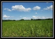 Tract 2 - Bennington Pastures property photo