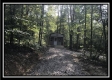 State Forest Cabin Tract 8 - Wheelabout Creek property photo