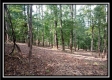 More of Tract 14 - Longhenry Ponds