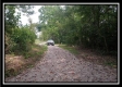 Tract 14 - Longhenry Ponds property photo