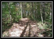 Tract 3 - Longhenry Ponds property photo