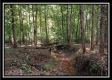 Tract 5 - Longhenry Ponds property photo