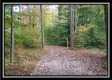 More of Tract 7 - Longhenry Ponds