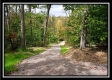 Tract 7 - Longhenry Ponds property photo