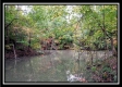 Tract 8 - Longhenry Ponds property photo